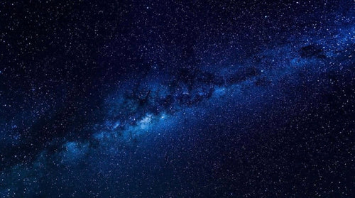 Rocket Rodgers: Destination... Toys!